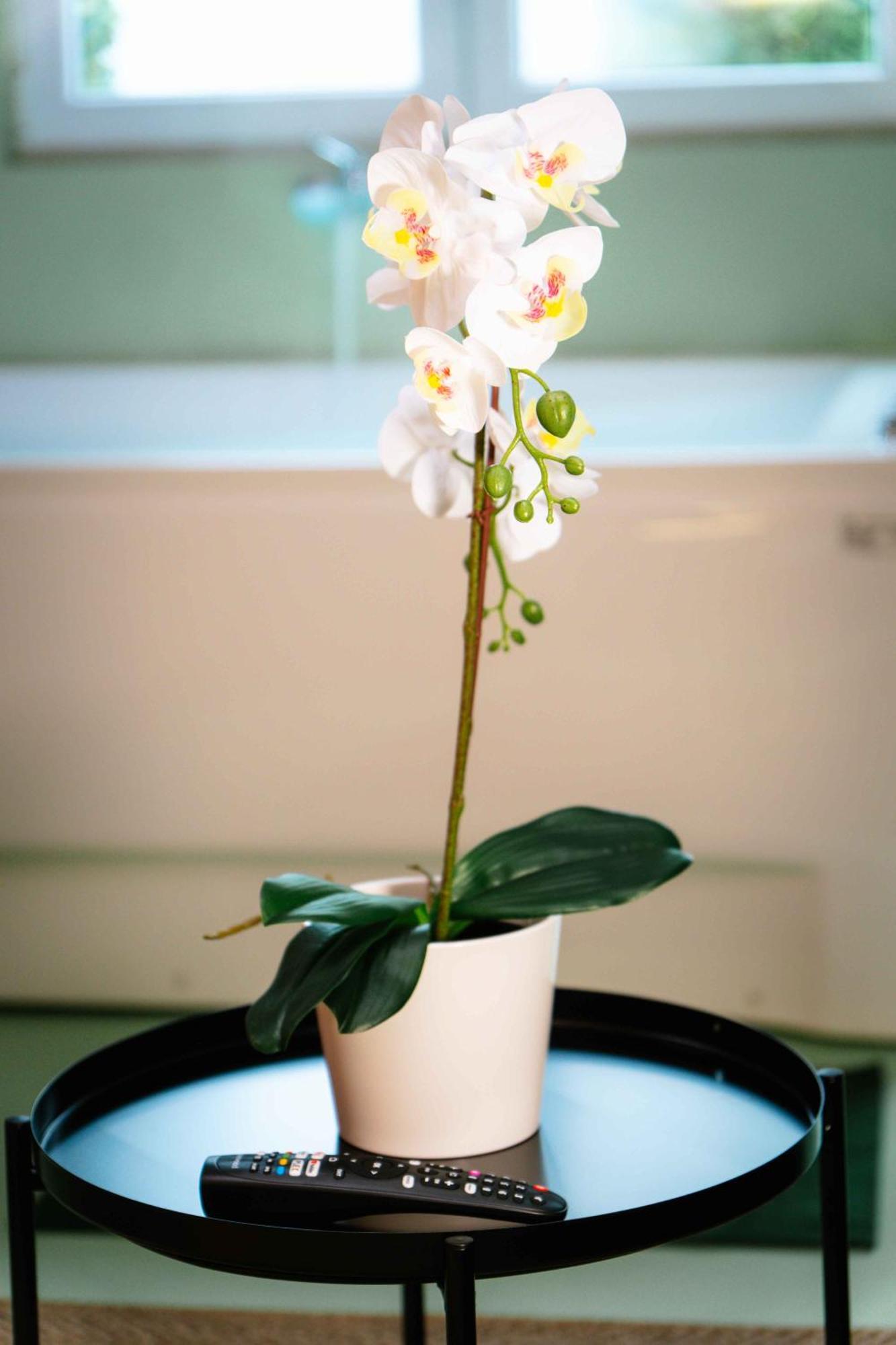 Capsule Flower - Balneo - Cinema - Billard - Nintendo Switch - Mons Centre Buitenkant foto